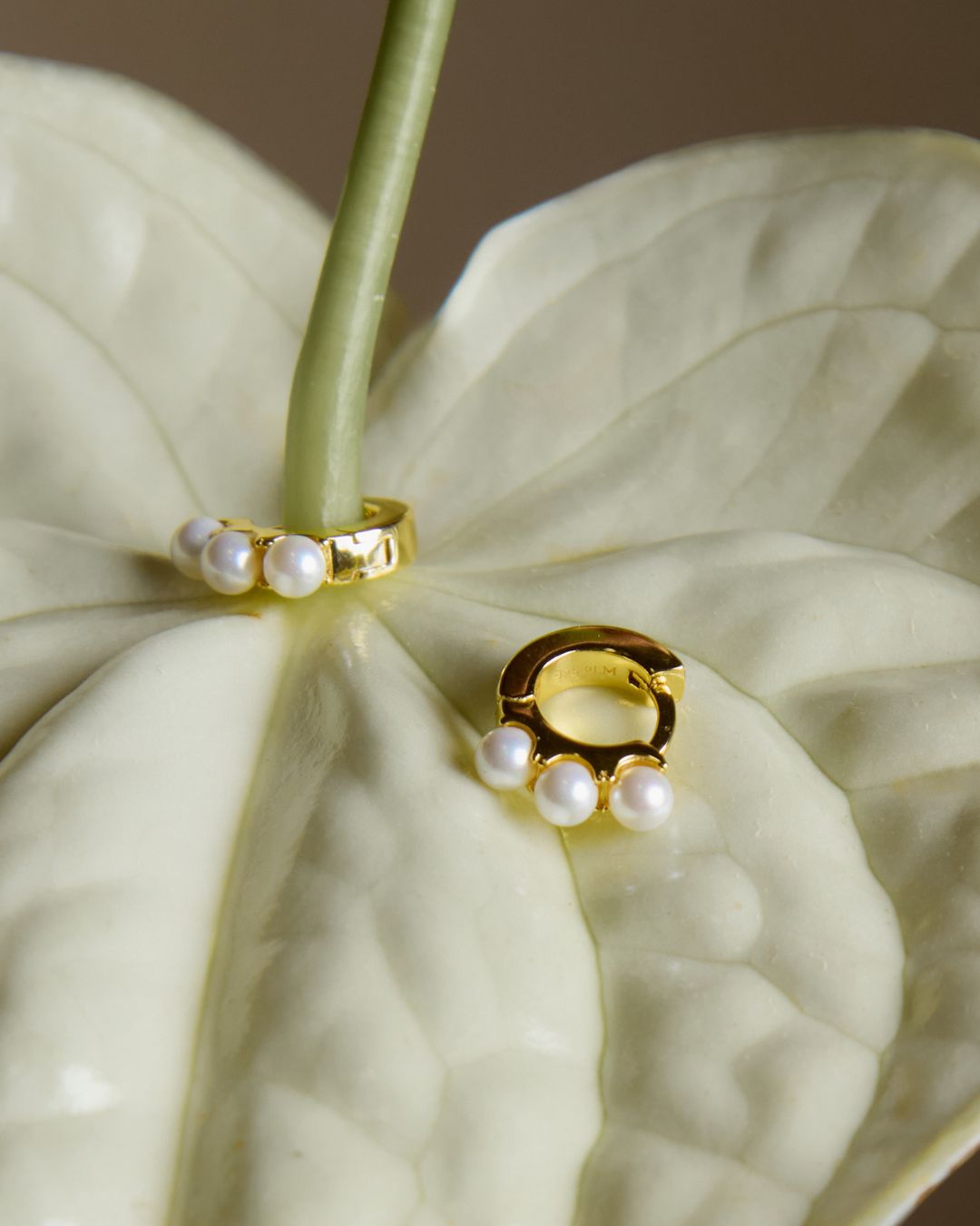 KHUYÊN TAI PERLAMUSE VÀNG VERMEIL 16K MINI TRÒN NGỌC TRAI 10.5MM