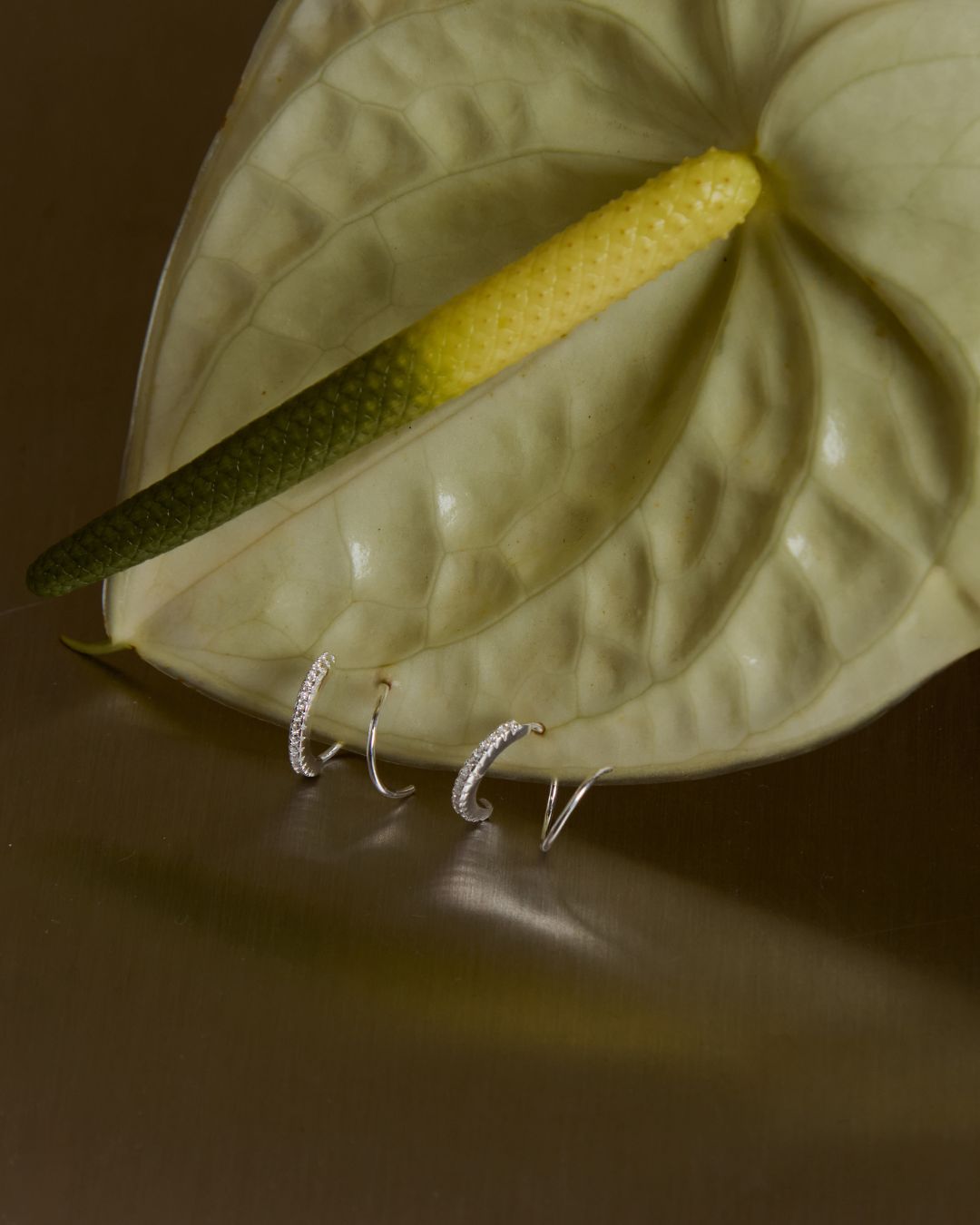 KHUYÊN TAI PERLAMUSE ĐÍNH ĐÁ SPIRAL XOẮN ỐC