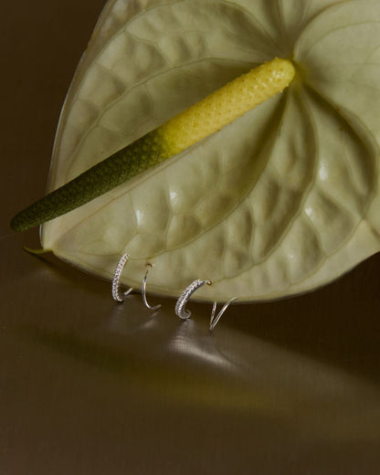 KHUYÊN TAI PERLAMUSE ĐÍNH ĐÁ SPIRAL XOẮN ỐC