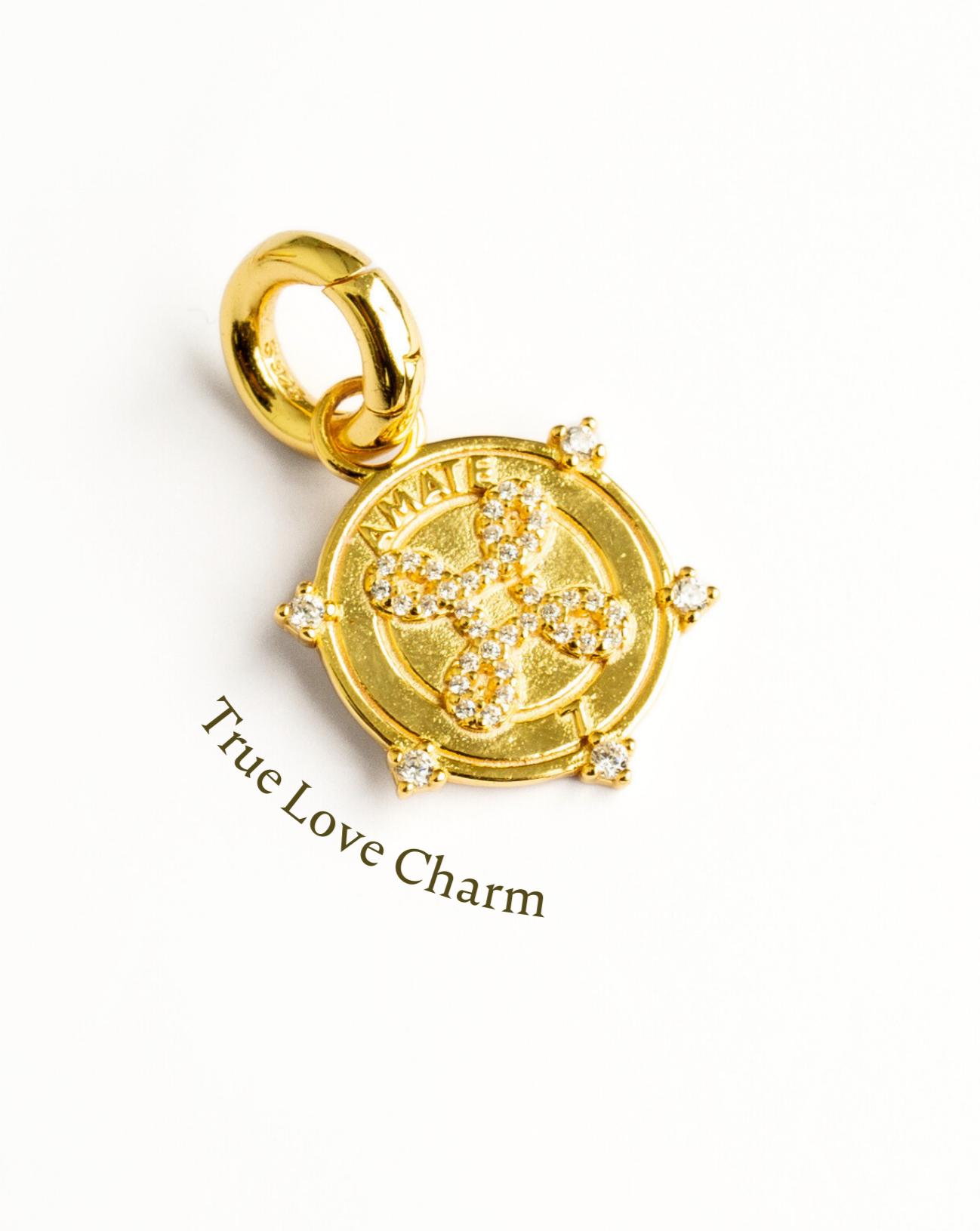 Rope Chain Necklace With True Loves Charm (Gold)