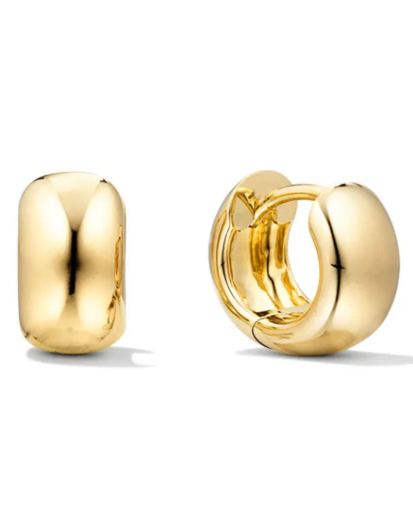 Stormi Bold Huggie Earrings ( GOLD )