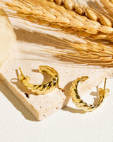 Croissant Twisted Hoop Earrings